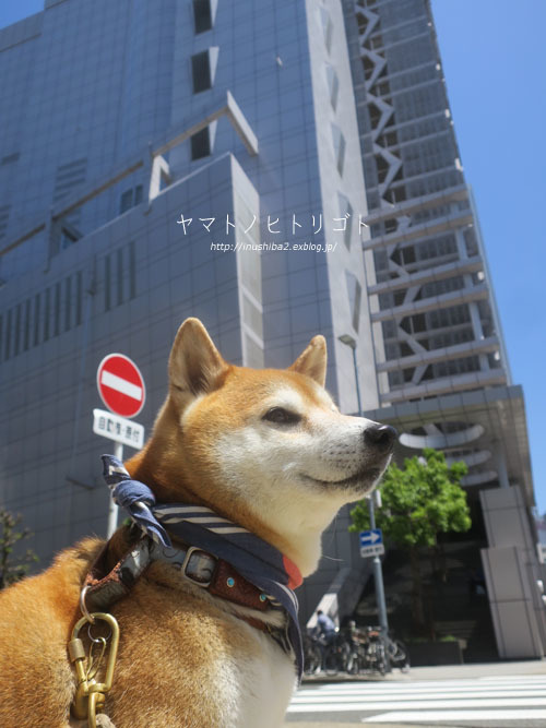 休日さんぽ【大須⇔栄】_e0394031_06302011.jpg