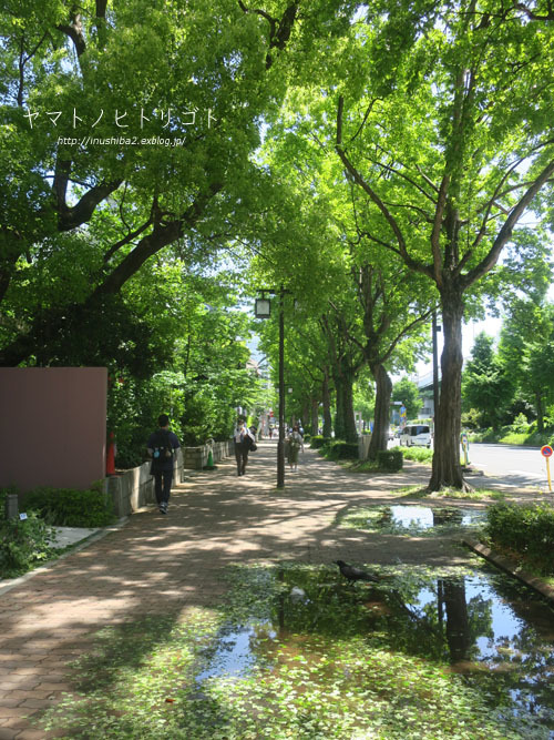 休日さんぽ【大須⇔栄】_e0394031_06302349.jpg