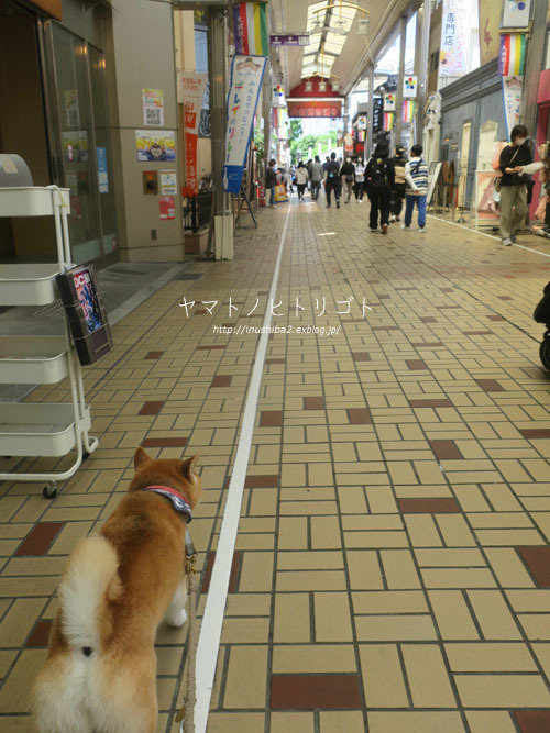 休日さんぽ【大須⇔栄】_e0394031_06302527.jpg