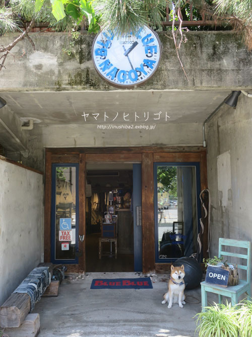 休日さんぽ【大須⇔栄】_e0394031_06303294.jpg