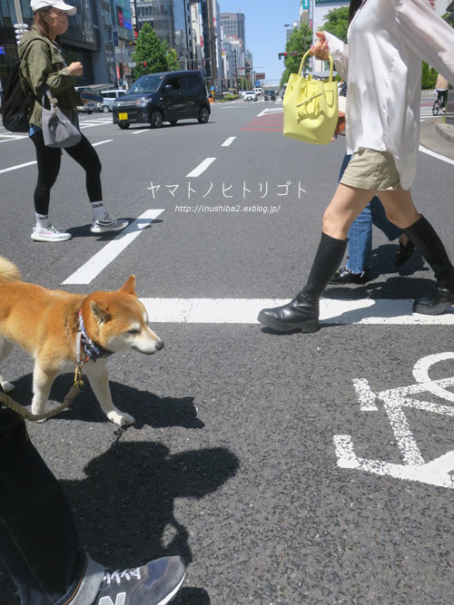 休日さんぽ【大須⇔栄】_e0394031_06303907.jpg