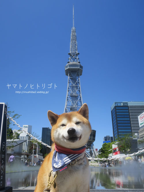 休日さんぽ【大須⇔栄】_e0394031_06304137.jpg
