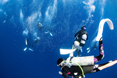 ６月 3日　天気・海況・潮の流れよーし！_d0113459_19124764.jpg