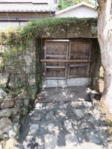夏子の発作_f0054677_10170363.jpg
