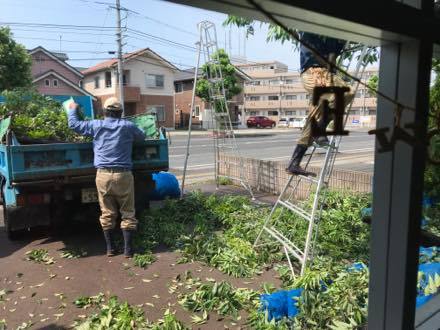 少し照れ気味のお兄ちゃん......可愛い..._b0194185_14403805.jpg
