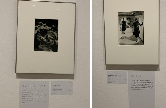 写真も……アートです!!_d0358704_13224708.png