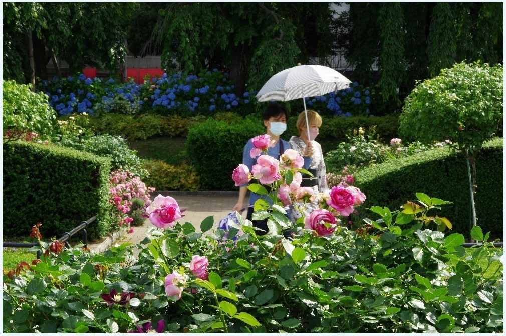 山下公園へ_c0352813_10155742.jpg
