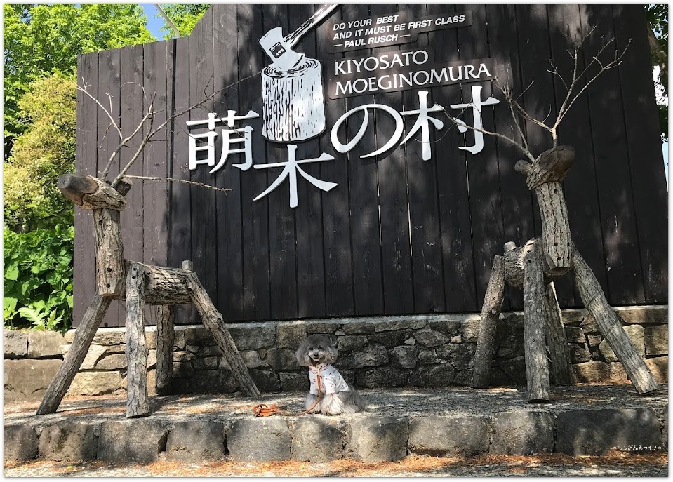 * フランは初めての清里 *_d0317115_13310572.jpg