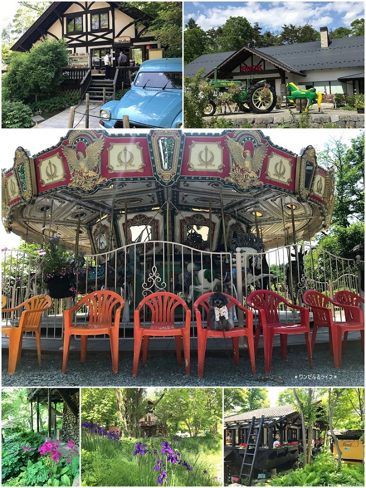 * フランは初めての清里 *_d0317115_14012686.jpg