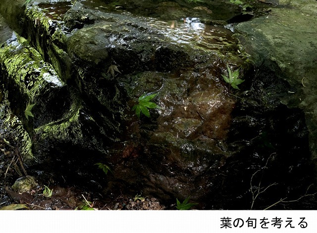 第2回X-Club2022写真展始まりました_f0221724_18381712.jpg