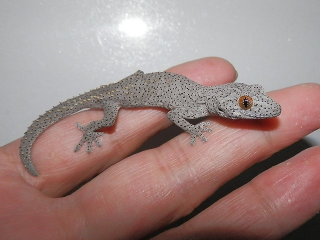 新しいカメラとの、新しい生き方_b0174337_01141527.jpg