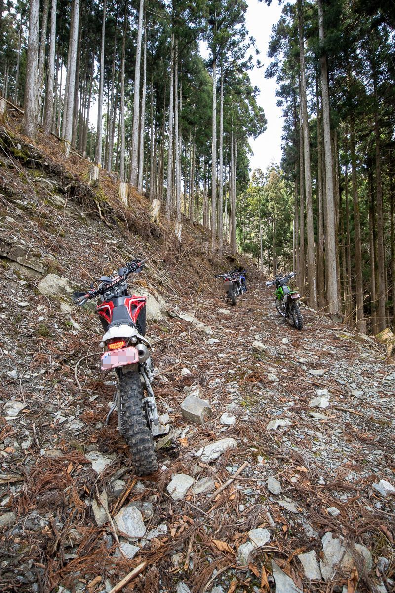 5台での本山町林道ツーリング その2_a0077663_19531066.jpg