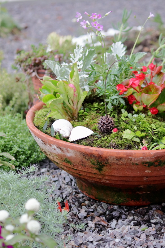 ｍｙ ｇａｒｄｅｎ Www Veterinairepayan Com