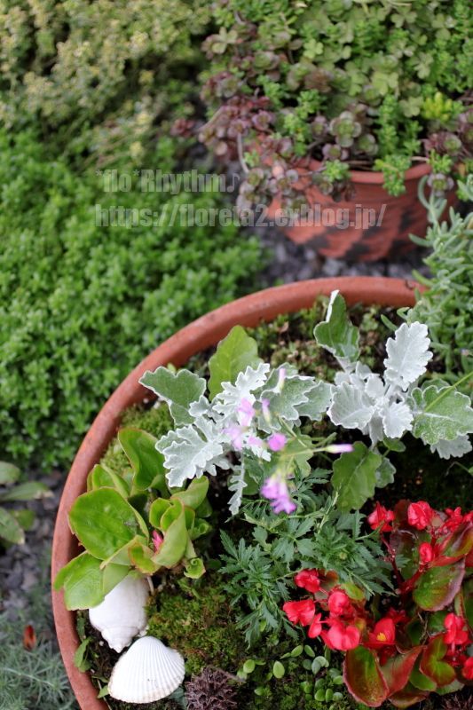 ｍｙ ｇａｒｄｅｎ Www Veterinairepayan Com