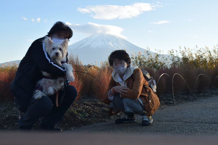 ♪ ダニエル 大好きな河口湖方面へ～(#^.^#)♪_b0242873_00525464.png