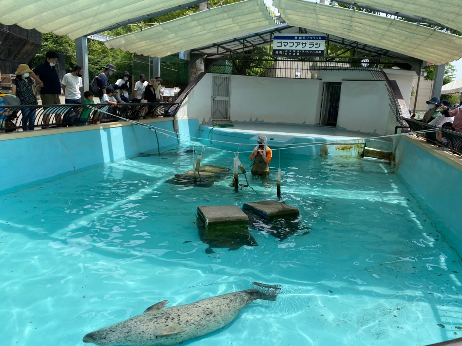 どうぶつ×飼育員アワード2022スペシャルガイドを実施しました_c0290504_09460242.jpg