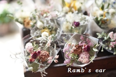 ドライフラワーフェア が始まりました Ramb S Ear ﾗﾑｽﾞｲﾔｰ