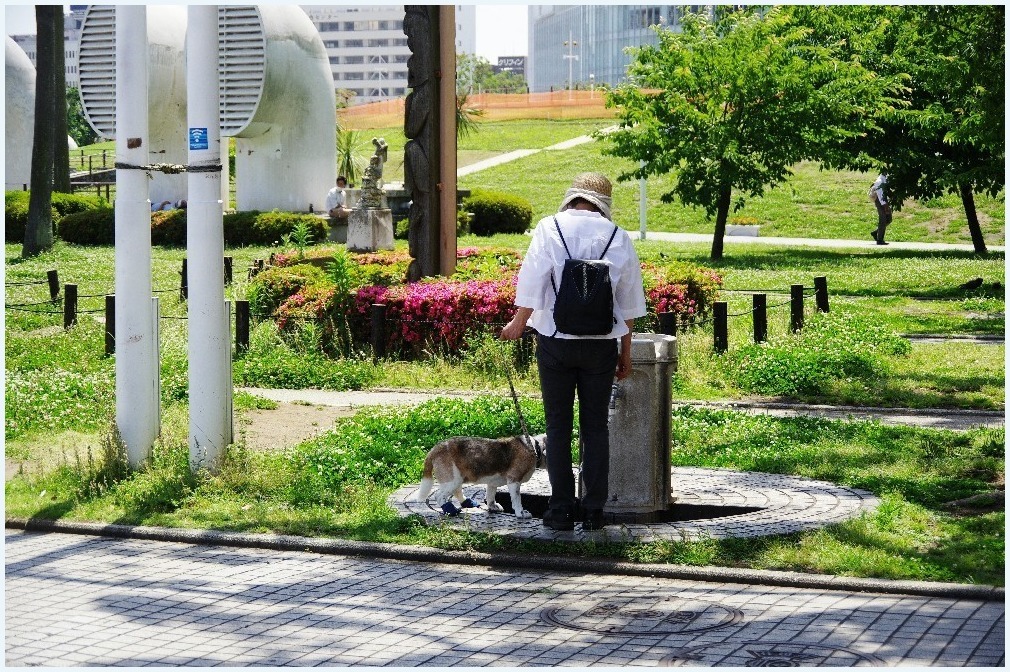 もうひとつの横浜_c0352813_10400200.jpg