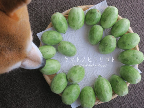 最近食べたもの【立夏】②_e0394031_08162168.jpg