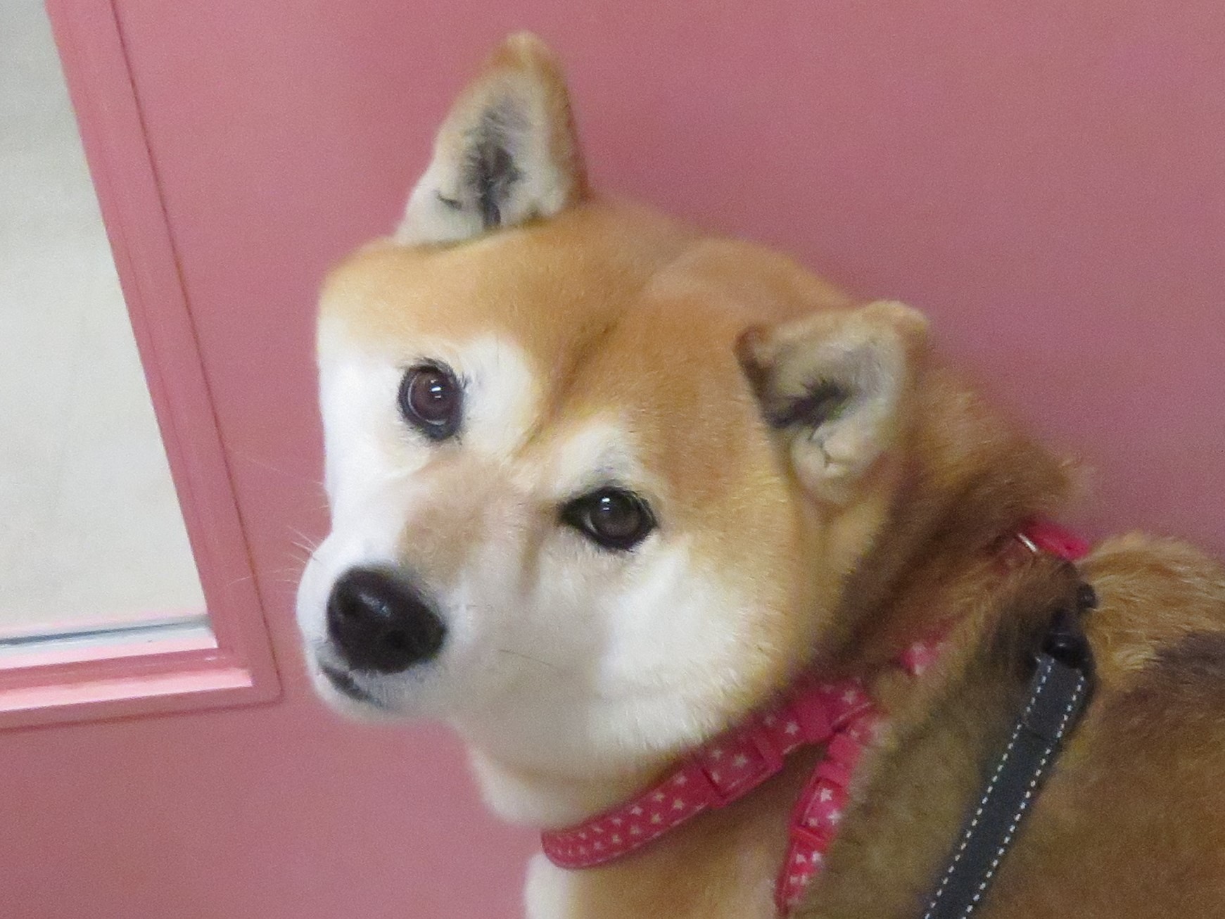 6 月 5 日の写真_c0174644_12190524.jpg