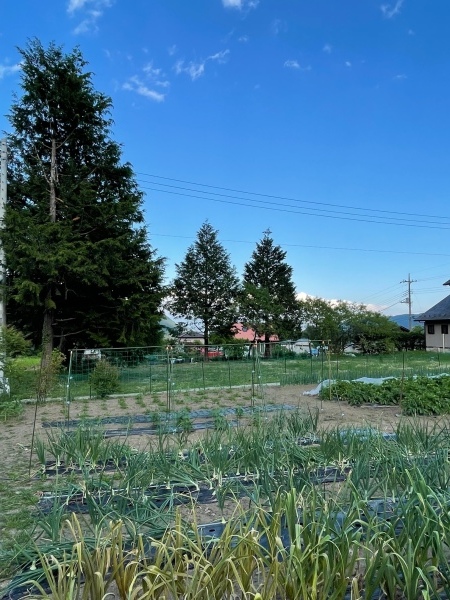 白州町Tさんのお家より^^_a0211886_00270770.jpg