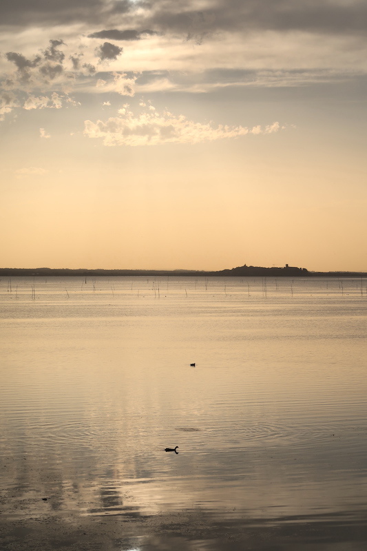 サハラの砂 空覆い 銀色・金色に 夕どきのトラジメーノ湖_f0234936_23100164.jpg
