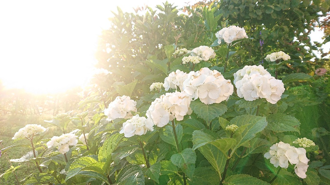 リセットタイム***_e0290872_17562115.jpg
