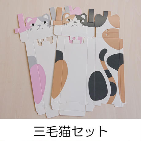 技術的なおはなし番外編2「マスクケース新発売!」_a0118799_15114187.jpg