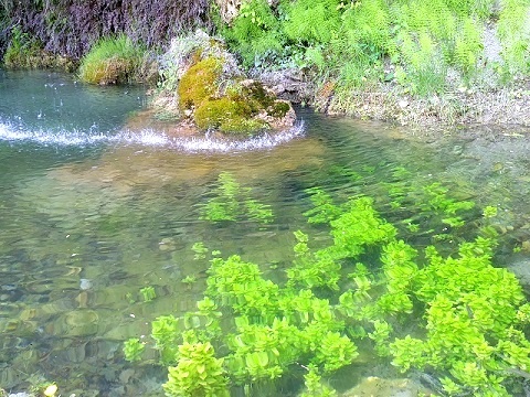 涼しい滝の水しぶき_d0006400_00301182.jpg