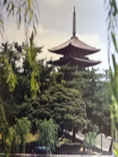 奈良　興福寺　の　五重塔　（大規模修理）_b0174217_11424970.jpg