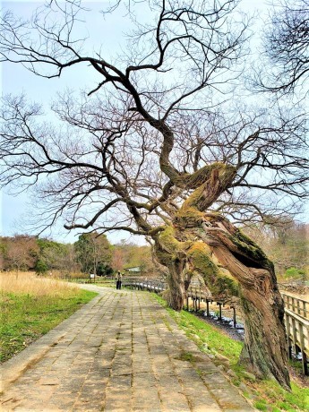 穴場の道を歩きましょう! 逆瀬川~仁川上流_c0218841_22184949.jpg