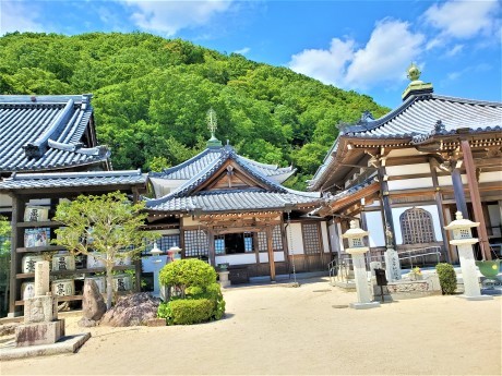 穴場の道を歩きましょう! 逆瀬川~仁川上流_c0218841_22245067.jpg