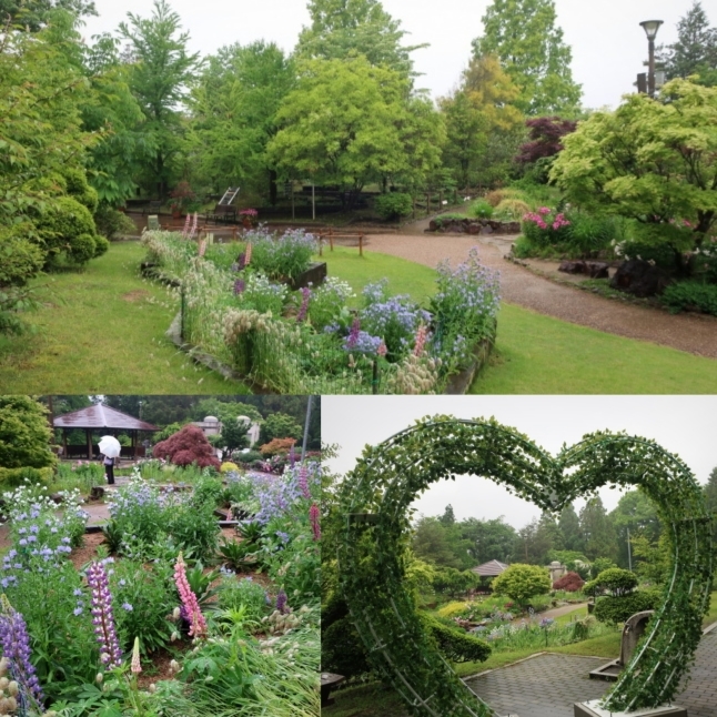 大阪府立花の文化園 雨のはなぶん 立てば芍薬 座れば牡丹 歩く姿は百合の花 ぴきょログ 軽井沢でぐーたら生活