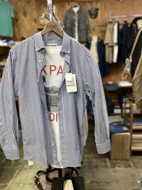 Barbour × sasanqua by trees_d0152280_02452555.jpeg