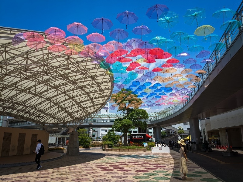 空を舞うカリアンブレラ_d0353489_12454817.jpg