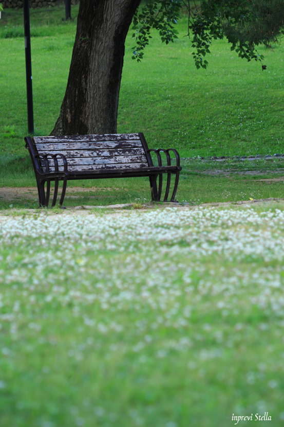 雨上がりの公園_d0015026_17072761.jpg