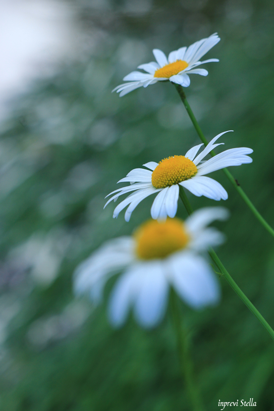 雨上がりの公園_d0015026_17073700.jpg