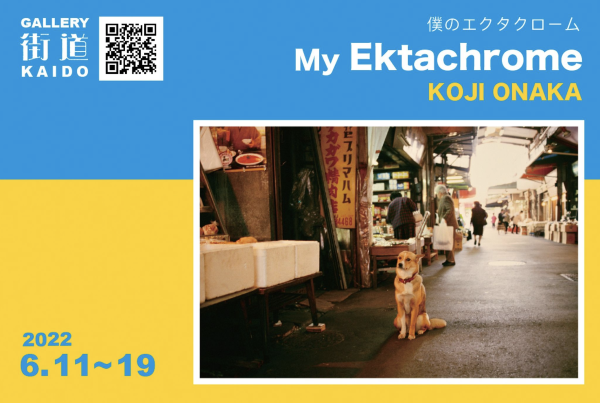 尾仲浩二氏 展覧会「My Ektachrome 僕のエクタクローム」_b0187229_15190307.png