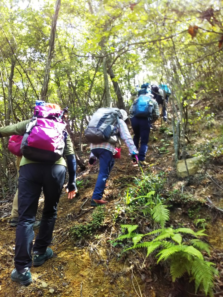 地獄谷東尾根~六甲アルプス~古寺山 カキノハグサを見に!_c0218841_16443780.jpg