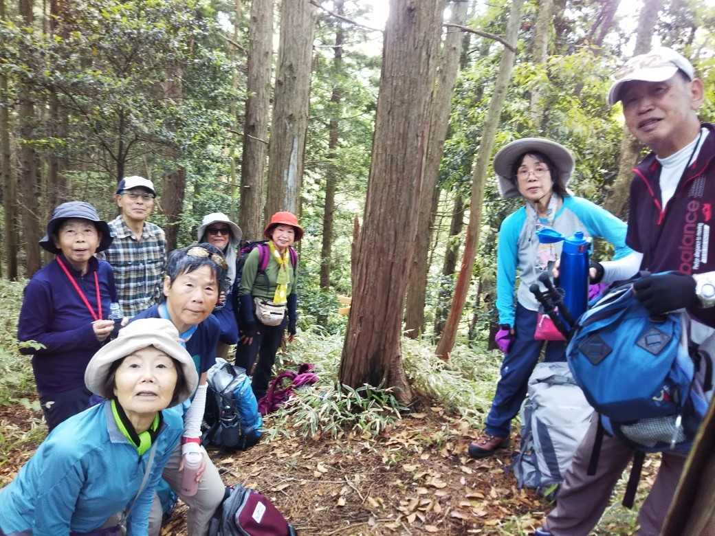 地獄谷東尾根~六甲アルプス~古寺山 カキノハグサを見に!_c0218841_16450994.jpg