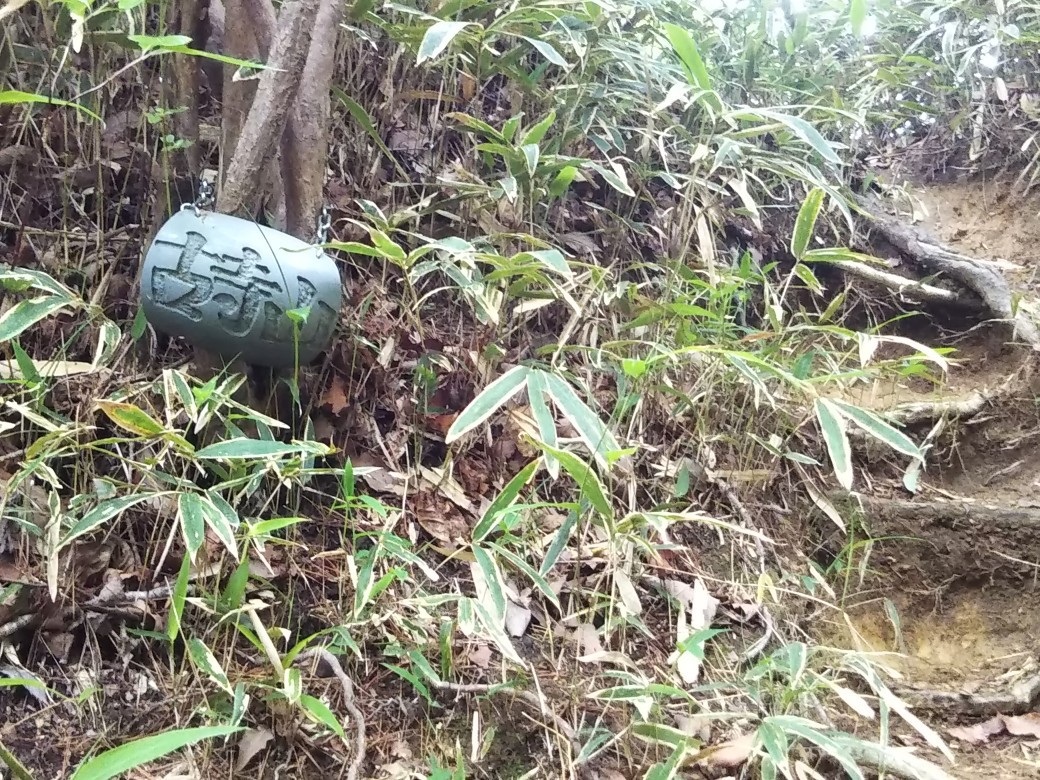 地獄谷東尾根~六甲アルプス~古寺山 カキノハグサを見に!_c0218841_16452499.jpg
