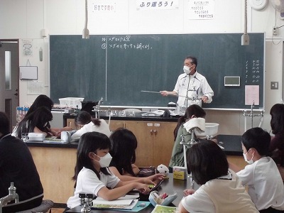 ５年１組 理科 メダカの誕生 城山通信