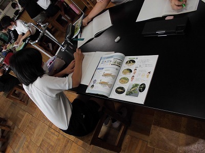 ５年１組 理科 メダカの誕生 城山通信