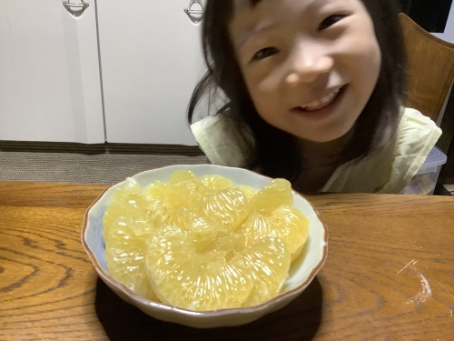 孫の記録〜2022年前半_d0336460_02514910.jpeg