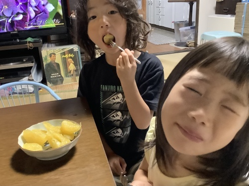 孫の記録〜2022年前半_d0336460_02524375.jpeg
