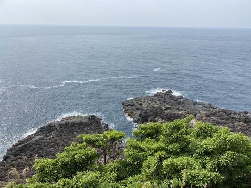 五のハエ_b0199487_11244554.jpeg