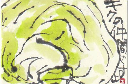 虫とレタス 日々是絵手紙