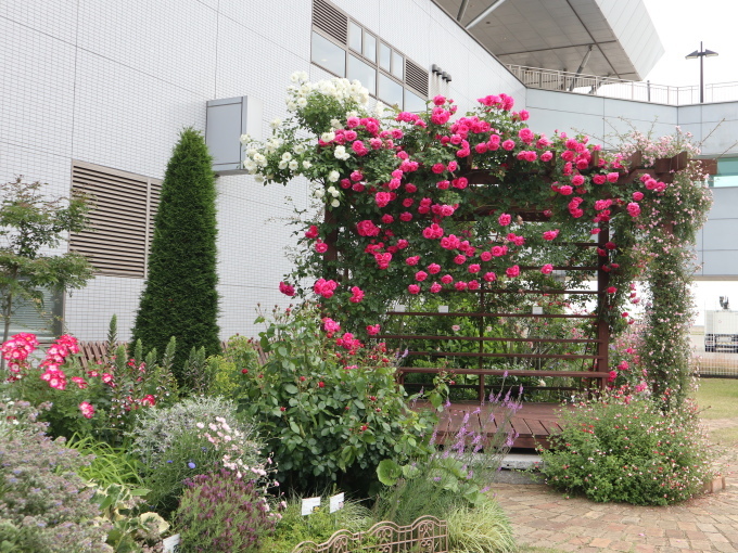 山口に行ったら住んでみたくなりました･････その１_b0331802_21374631.jpg