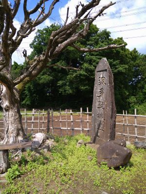 鎌倉殿の13人の御家人たち_c0165824_16134501.jpg