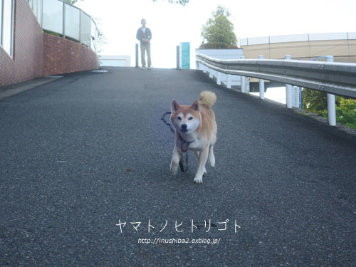 カオナシ_e0394031_06274481.jpg